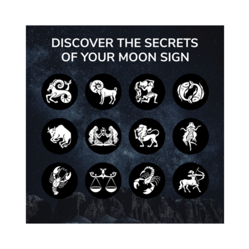 Unlocking the Secrets of the Stars: Moon Reading Program