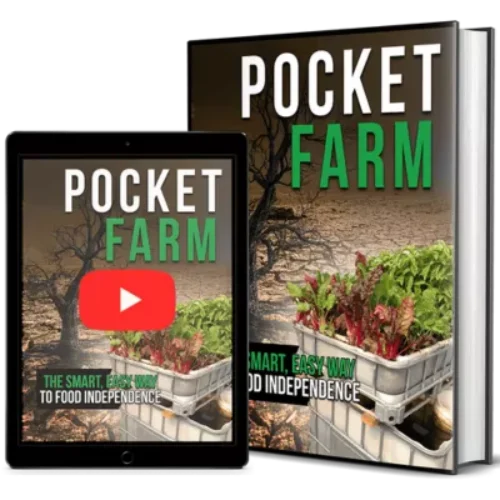 Introducing Pocket Farm’s Portable Farm-Fresh Snacks