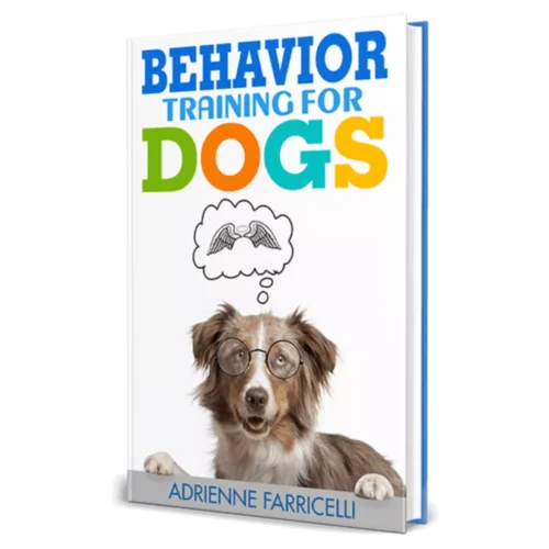 Your Dog’s Potential with Brain Training 4 Dogs