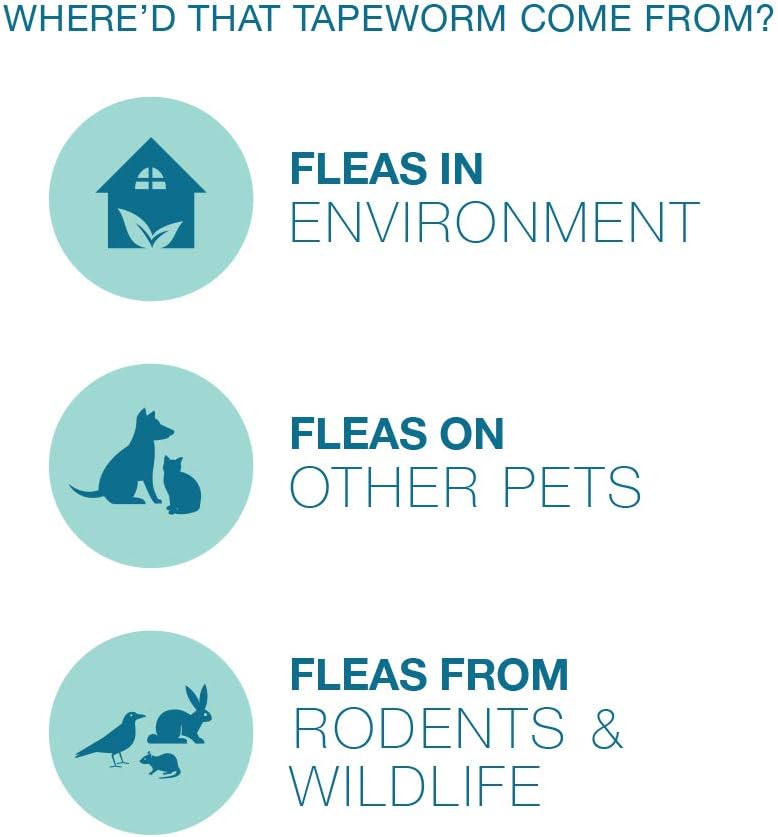 Elanco Tapeworm Dewormer (praziquantel tablets) for Cats and Kittens 6 Weeks and Older, 3-count - Image 9