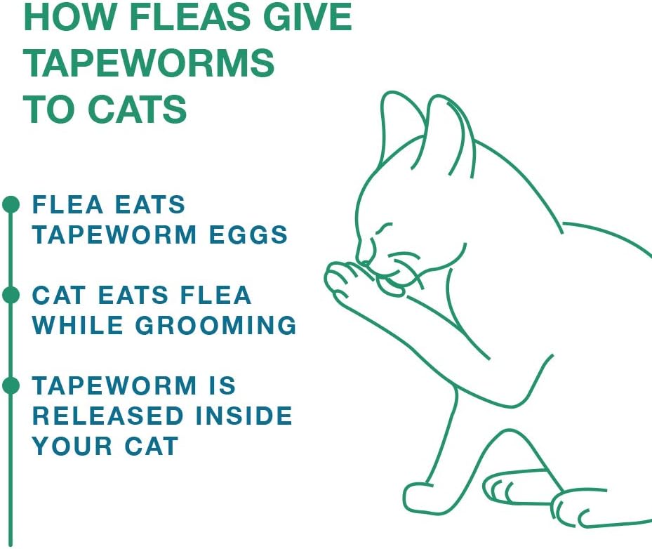 Elanco Tapeworm Dewormer (praziquantel tablets) for Cats and Kittens 6 Weeks and Older, 3-count - Image 4