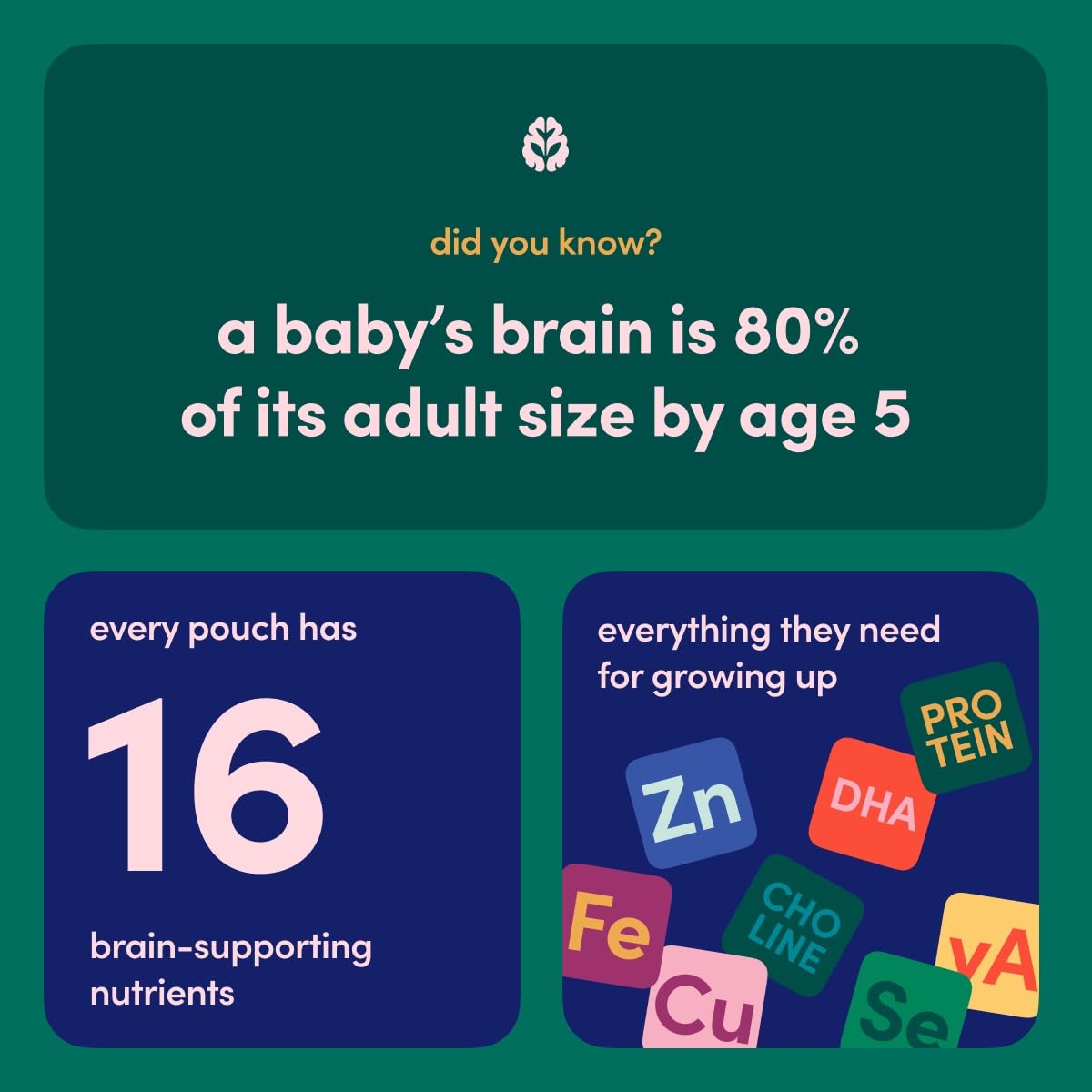 Cerebelly Baby Food Pouches Variety Pack – Organic Veggie Purees for Toddlers | No Added Sugar, Fiber, Non-GMO | Blended Toddler Pouches | 4 Ounce BPA-Free Pouch | 4 Flavors | 8 Count - Image 4