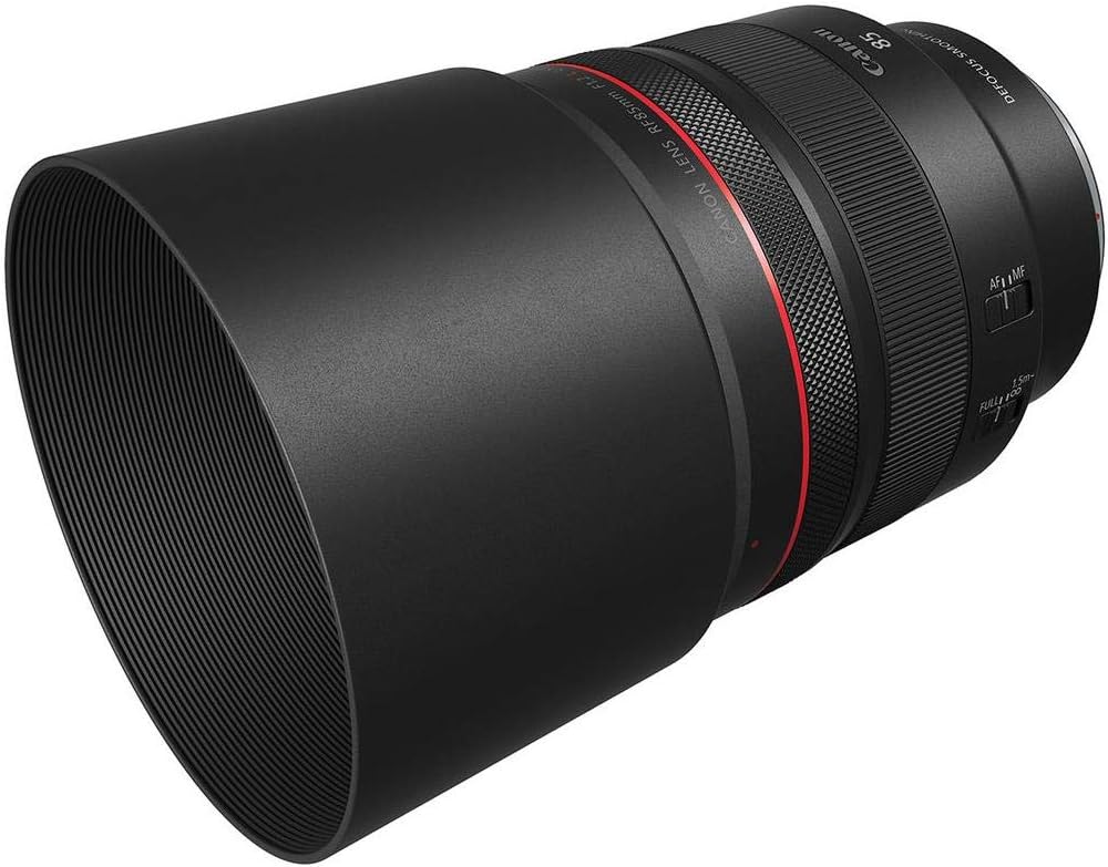Canon Rf 85mm F1.2 L USM Ds - Image 6