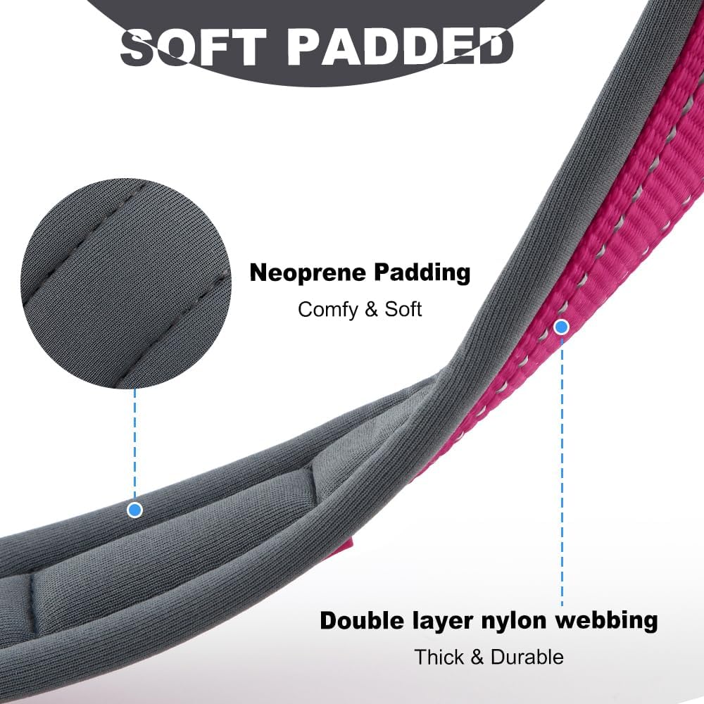 Personalized Dog Collar with Name and Phone Number | Durable Metal Buckle | Ultra Wide Soft Neoprene Padded | Adjustable Reflective Weatherproof Dog Collar for Large Medium and Small Dogs - Image 6