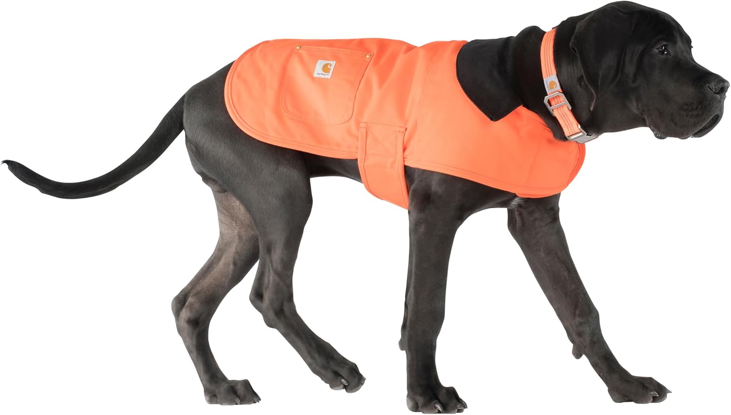 Carhartt Firm Duck Insulated Dog Chore Coat Hunter Orange/Brass - Image 5