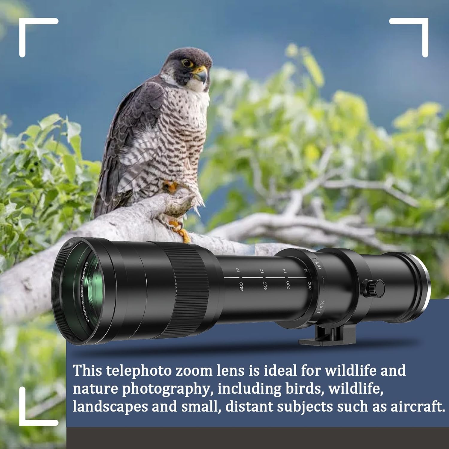 Lightdow EF 420-800mm F8.3 Telephoto Zoom Lens - Manual Focus DSLR Cameras Lens for Canon EOS Rebel T Series T8i/T7i/T7/T6/T3i/T2i/4000D/850D/SL3/SL2/6D Mark II/5D Mark IV/90D/80D/77D(Black) - Image 4