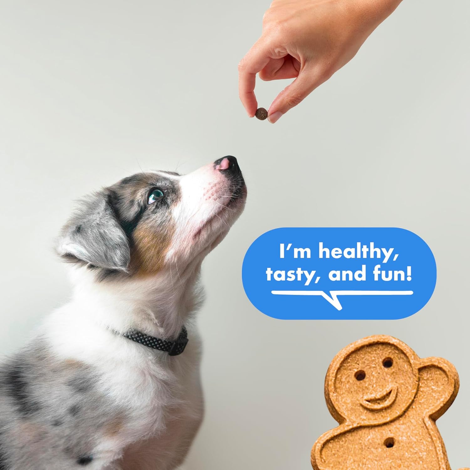 Buddy Biscuits Trainers 10 oz. Pouch of Training Bites Soft & Chewy Dog Treats Made with Bacon Flavor - Image 5