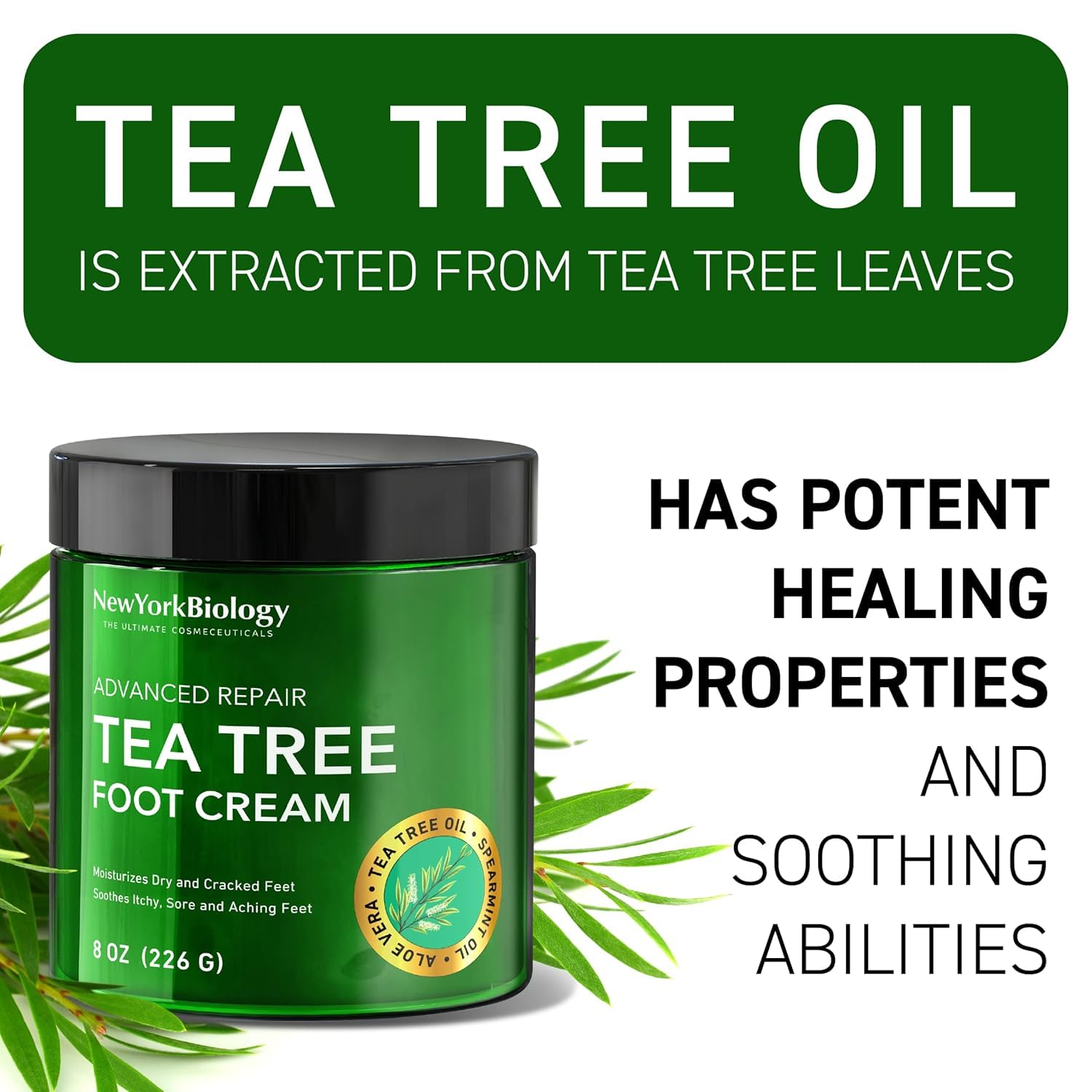 New York Biology Tea Tree Oil Foot Cream for Dry Cracked Feet, Athletes Foot, Nail Fungus, Jock Itch, Ringworm, Cracked Heels and Itchy Skin - Foot Cream - 8 oz - Pack of 2 - Image 6