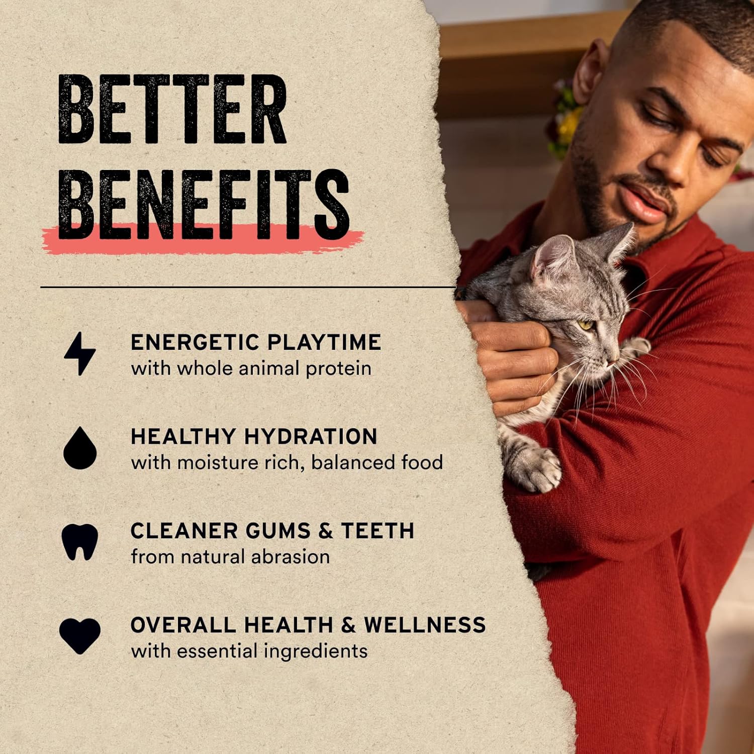 Vital Essentials Freeze Dried Raw Cat Treats, Minnows Treats, 0.5 oz - Image 5