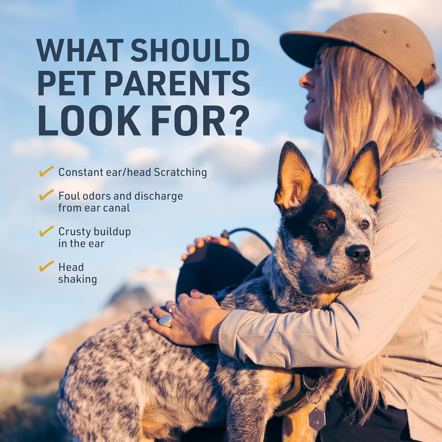 Veterinary Formula Clinical Care Ear Therapy Wipes, 100ct – Cat and Dog Ear Cleaner – Help Relieve Itchy Ears Quickly & Effectively Remove Dirt, Debris, and Foul Odor - Image 5