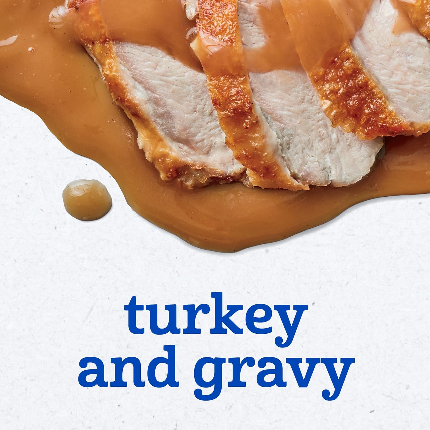 Gerber Baby Foods 2nd Foods Meat, Turkey & Gravy, Mealtime for Baby, 2.5 Ounce Jar (Pack of 10) - Image 3