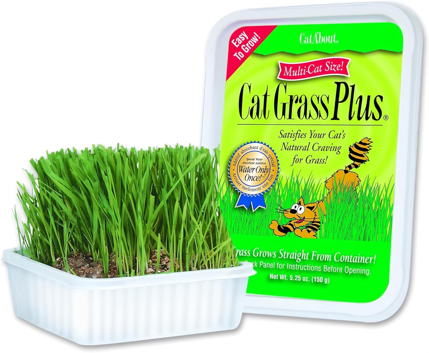 Miracle Care Cat-A'bout Cat Grass For Indoor Cats, 5.25 oz, Cat Grass Growing kit for all cats, Cat Grass Growing Kit Includes Potting Mix, Seeds, and Container - Image 2