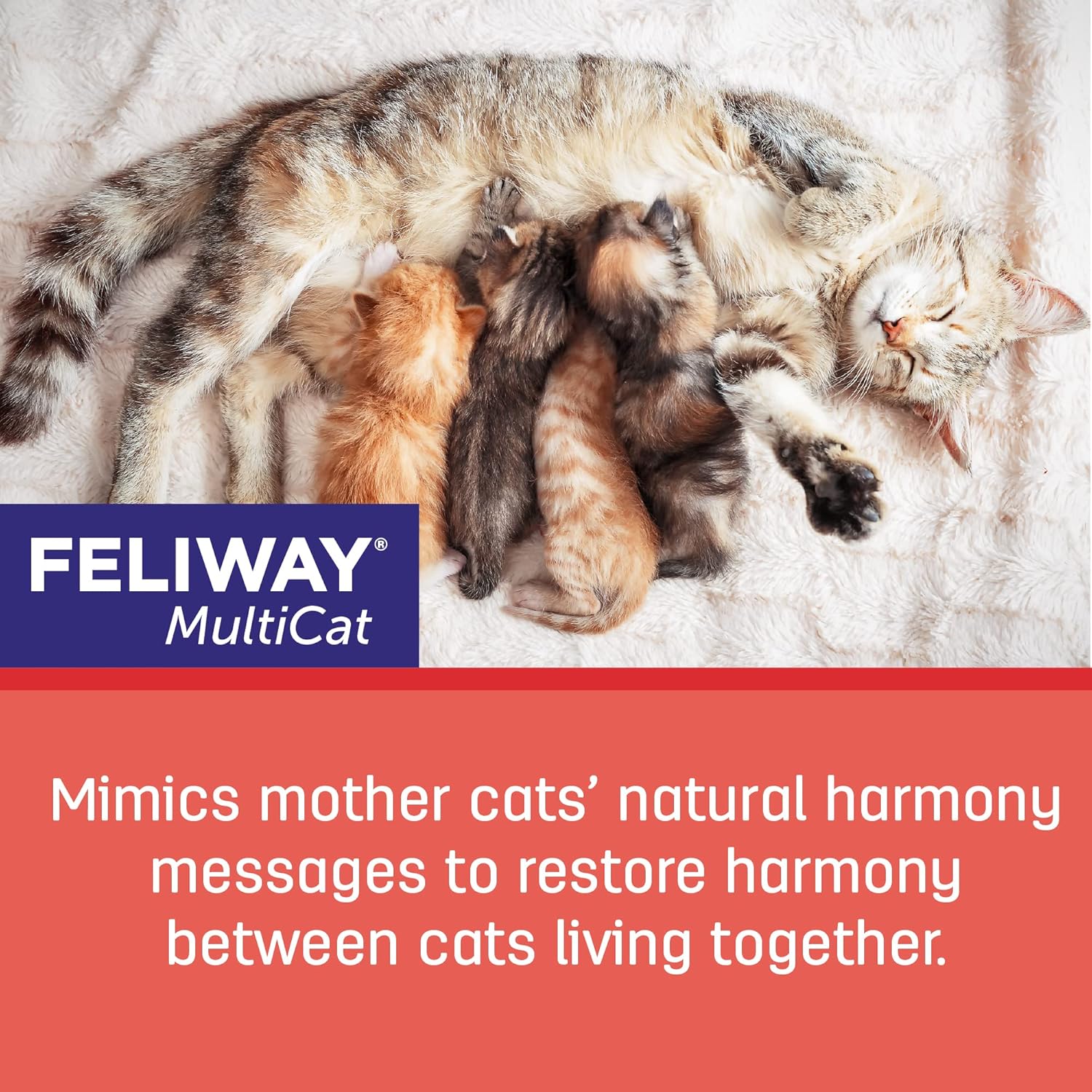FELIWAY MultiCat Calming Pheromone, 30 Day Refill - 3 Pack - Image 5
