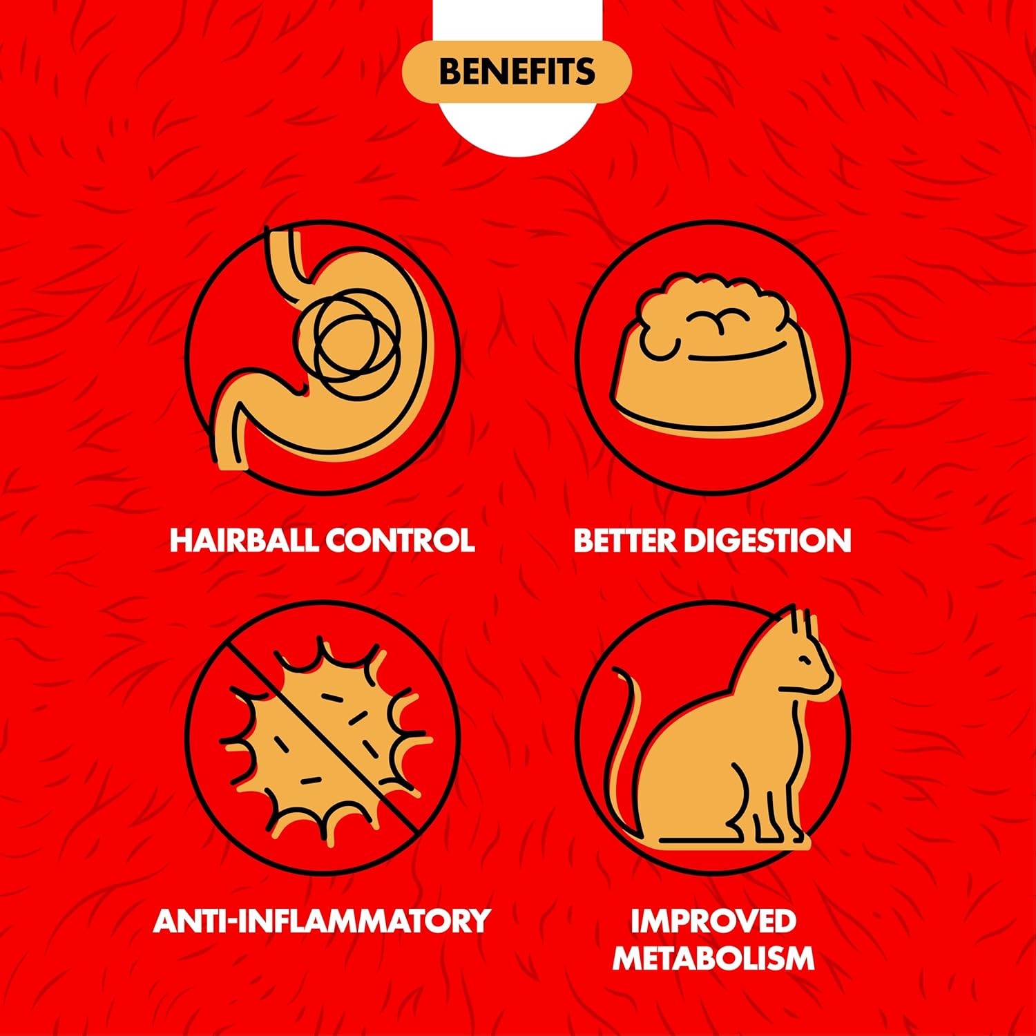 Miracle Care Cat-A'bout Cat Grass For Indoor Cats, 5.25 oz, Cat Grass Growing kit for all cats, Cat Grass Growing Kit Includes Potting Mix, Seeds, and Container - Image 3