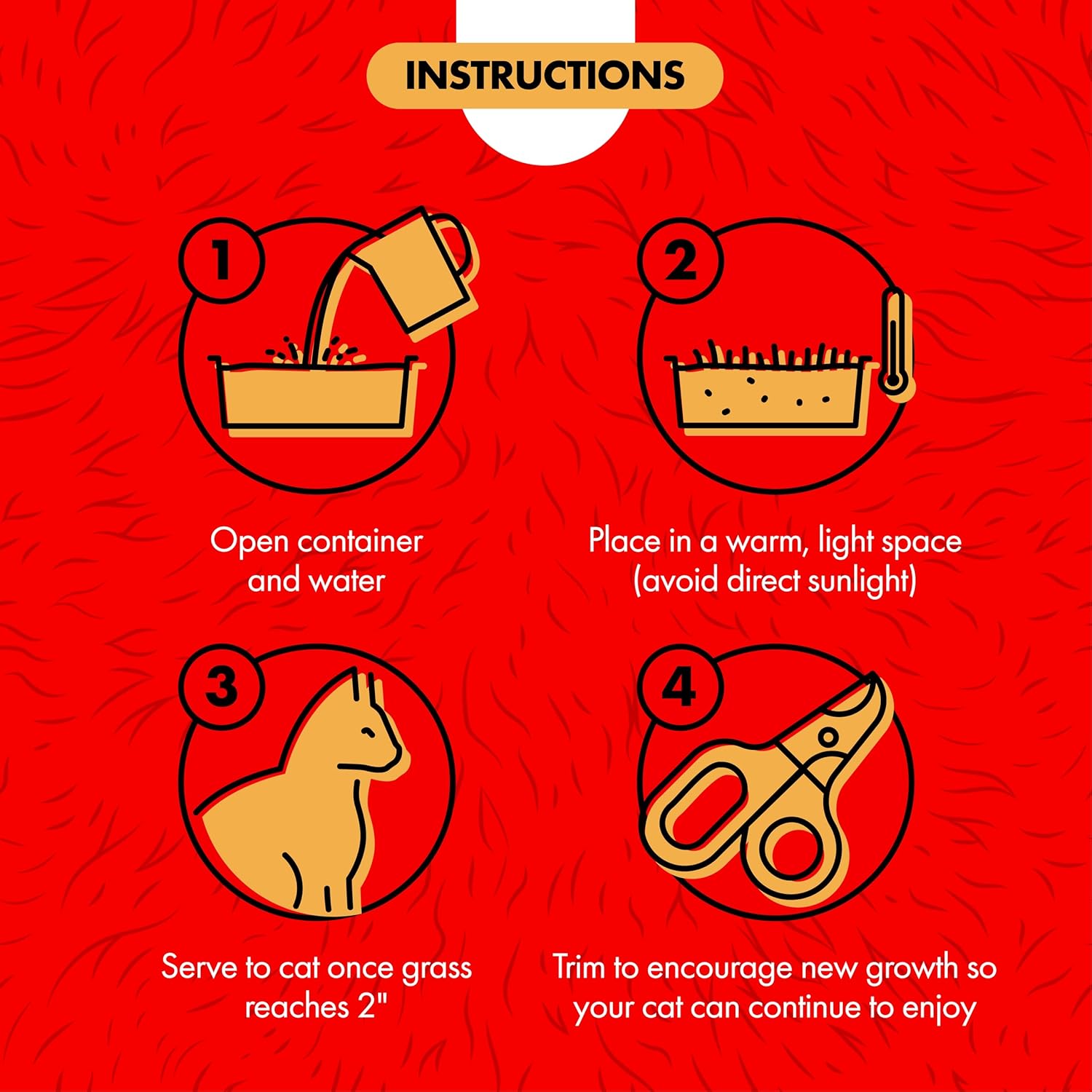 Miracle Care Cat-A'bout Cat Grass For Indoor Cats, 5.25 oz, Cat Grass Growing kit for all cats, Cat Grass Growing Kit Includes Potting Mix, Seeds, and Container - Image 4