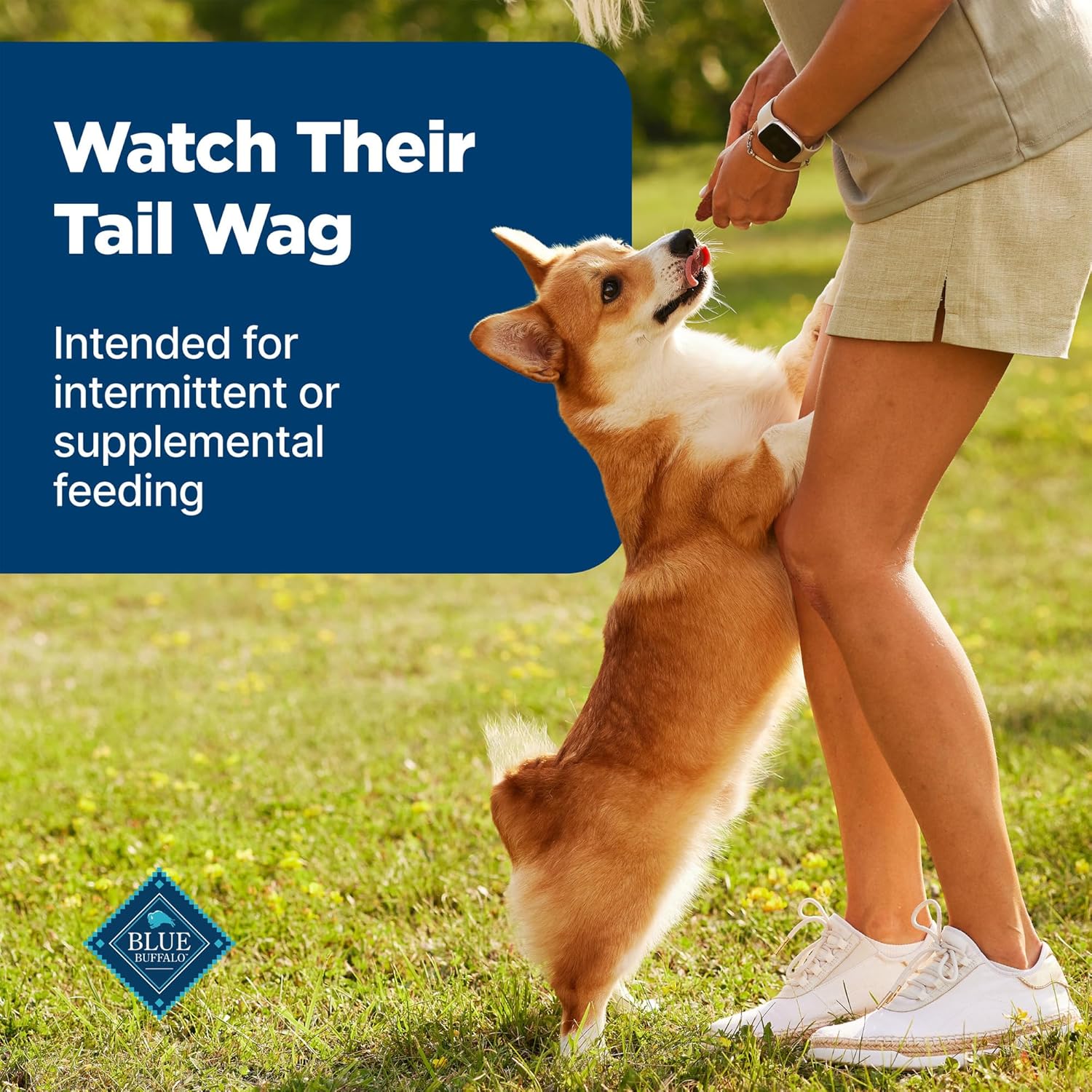 Blue Buffalo Nudges Grillers Natural Dog Treats, Made in the USA with Real Steak, 16-oz Bag - Image 9