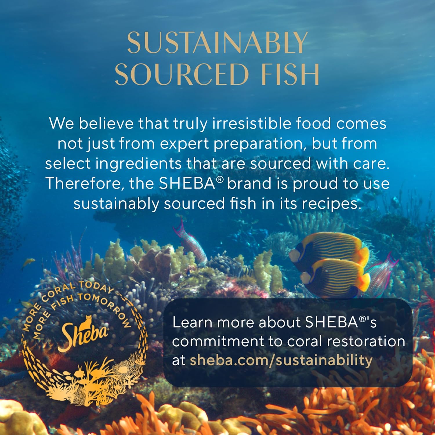 Sheba Perfect Portions Wet Cat Food Pate, Savory Chicken Entree, Roasted Turkey Entree, and Tender Beef Entree Variety Pack, 2.6 oz. Twin Pack Trays (24 Count, 48 Servings) - Image 12