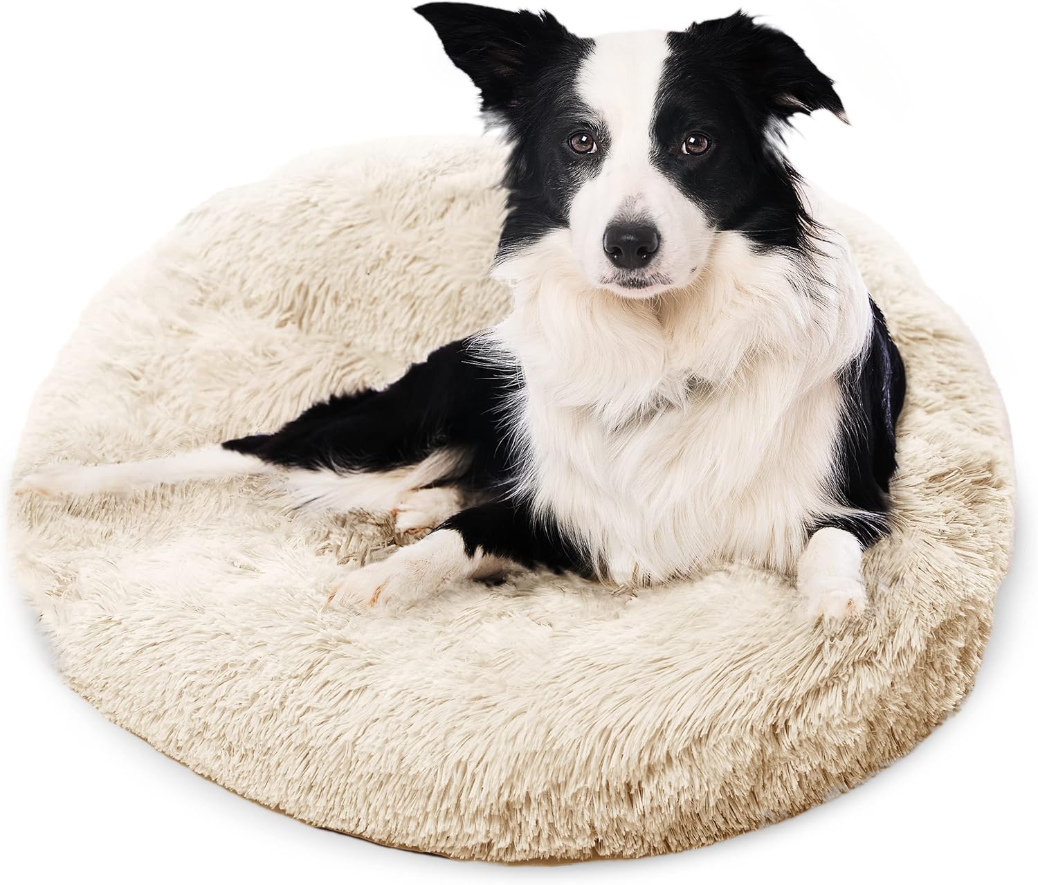 Active Pets Large Dog Bed, Calming Orthopedic Pet Bedding for Anxiety Relief, Joint Support & Comfort, Washable Dog Furniture, M 45lbs, Beige - Image 2