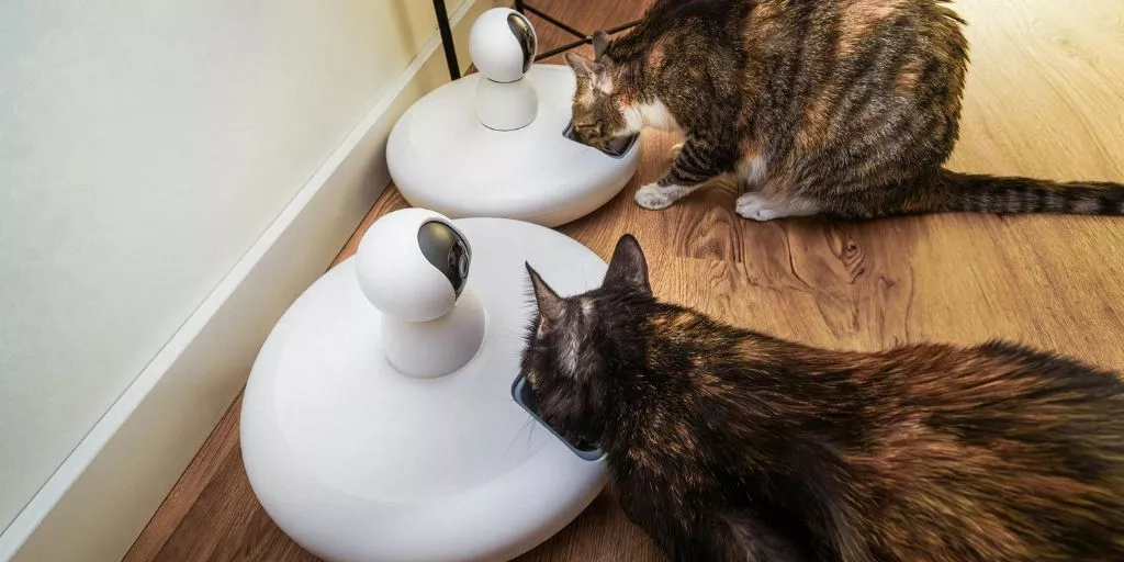 How Smart Pet Gadgets Are Changing the Way We Care for Our Pets How Smart Pet Gadgets Are Changing the Way We Care for Our Pets